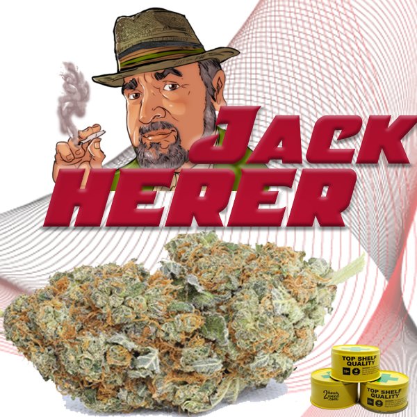 5 best cannabis strains to buy in Oslo Norway